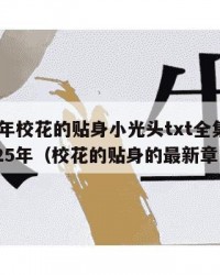 2025年校花的贴身小光头txt全集下载：2025年（校花的贴身的最新章节）