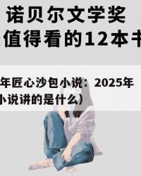 2025年匠心沙包小说：2025年（匠心沙包小说讲的是什么）