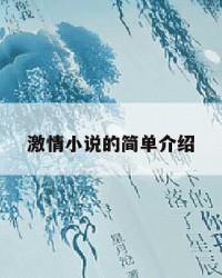 激情小说的简单介绍