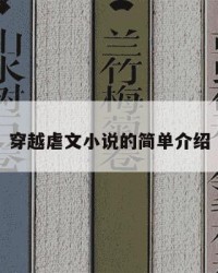 穿越虐文小说的简单介绍