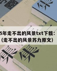 2025年走不出的风景txt下载：2025年（走不出的风景苏力原文）