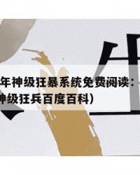 2025年神级狂暴系统免费阅读：2025年（神级狂兵百度百科）