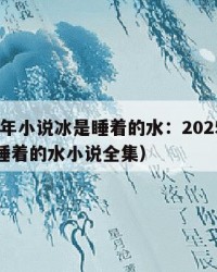 2025年小说冰是睡着的水：2025年（冰是睡着的水小说全集）