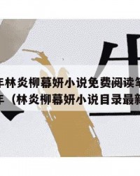 2025年林炎柳幕妍小说免费阅读笔趣阁：2025年（林炎柳幕妍小说目录最新更新）