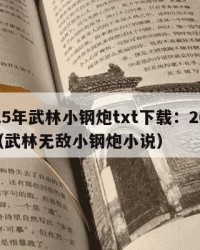 2025年武林小钢炮txt下载：2025年（武林无敌小钢炮小说）