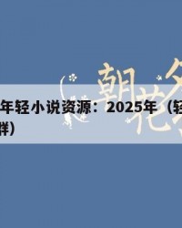 2025年轻小说资源：2025年（轻小说资源群）