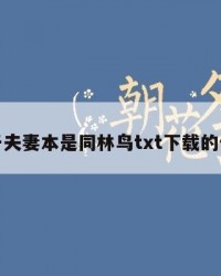 关于夫妻本是同林鸟txt下载的信息