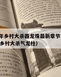 2025年乡村大杀器龙珠最新章节：2025年（乡村大杀气龙柱）
