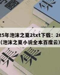 2025年泡沫之夏2txt下载：2025年（泡沫之夏小说全本百度云）