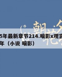 2025年最新章节214.暗影x观言：2025年（小说 暗影）