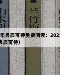 2025年良辰可待免费阅读：2025年（小说良辰可待）