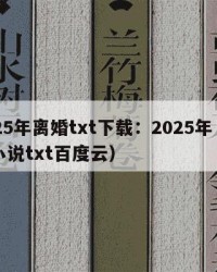 2025年离婚txt下载：2025年（离婚小说txt百度云）