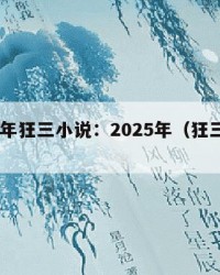 2025年狂三小说：2025年（狂三小说）