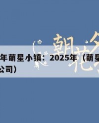 2025年萌星小镇：2025年（萌星科技有限公司）