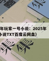 2025年玩家一号小说：2025年（玩家一号小说TXT百度云网盘）