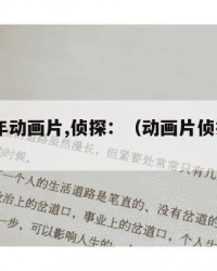 2024年动画片,侦探：（动画片侦探加杰特）