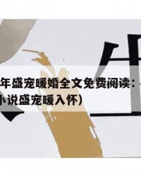 2025年盛宠暖婚全文免费阅读：2025年（小说盛宠暖入怀）