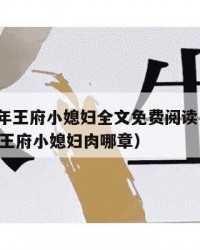 2025年王府小媳妇全文免费阅读：2025年（王府小媳妇肉哪章）