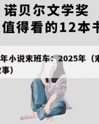 2025年小说末班车：2025年（末班车mv故事）