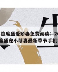 2025年首席盛爱娇妻免费阅读：2025年（首席盛宠小萌妻最新章节手机在线阅）