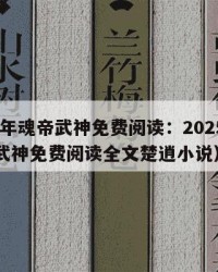 2025年魂帝武神免费阅读：2025年（魂帝武神免费阅读全文楚逍小说）