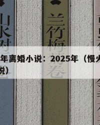 2025年离婚小说：2025年（慢火炖离婚小说）