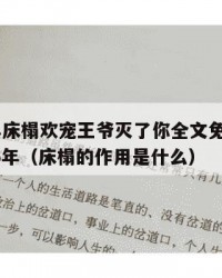 2025年床榻欢宠王爷灭了你全文免费阅读：2025年（床榻的作用是什么）