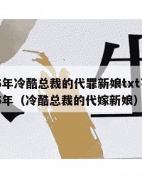 2025年冷酷总裁的代罪新娘txt下载：2025年（冷酷总裁的代嫁新娘）