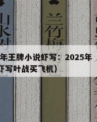 2025年王牌小说虾写：2025年（王牌小说虾写叶战买飞机）