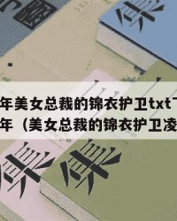 2025年美女总裁的锦衣护卫txt下载：2025年（美女总裁的锦衣护卫凌云峰）