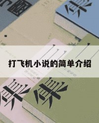 打飞机小说的简单介绍