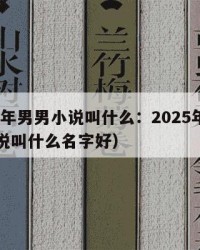2025年男男小说叫什么：2025年（男男小说叫什么名字好）