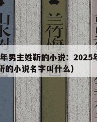 2025年男主姓靳的小说：2025年（男主姓靳的小说名字叫什么）