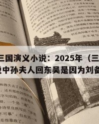 2025年三国演义小说：2025年（三国演义小说中孙夫人回东吴是因为刘备在益州）