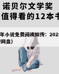 2025年小说免费阅读如传：2025年（如y传网盘）