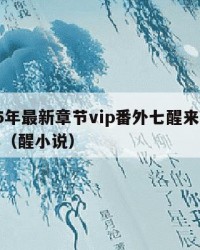 2025年最新章节vip番外七醒来：2025年（醒小说）