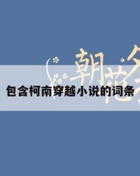 包含柯南穿越小说的词条