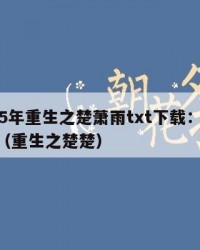 2025年重生之楚萧雨txt下载：2025年（重生之楚楚）