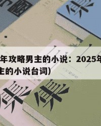 2025年攻略男主的小说：2025年（攻略男主的小说台词）