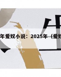 2025年爱奴小说：2025年（爱奴简介）