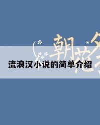 流浪汉小说的简单介绍