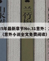 2025年最新章节No.31意外：2025年（意外小说全文免费阅读）