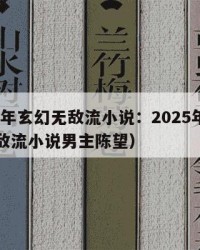 2025年玄幻无敌流小说：2025年（玄幻无敌流小说男主陈望）