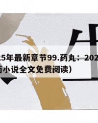 2025年最新章节99.药丸：2025年（药小说全文免费阅读）