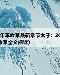 2025年革命军最新章节太子：2025年（革命军全文阅读）
