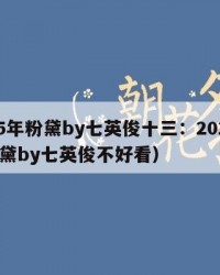 2025年粉黛by七英俊十三：2025年（粉黛by七英俊不好看）