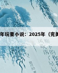 2025年玩妻小说：2025年（完美帝妻小说）