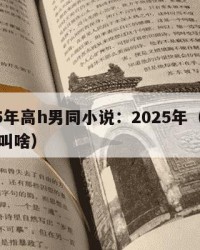 2025年高h男同小说：2025年（男同小说叫啥）