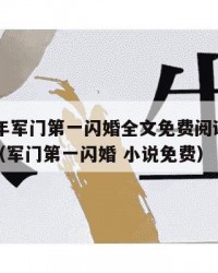 2025年军门第一闪婚全文免费阅读：2025年（军门第一闪婚 小说免费）
