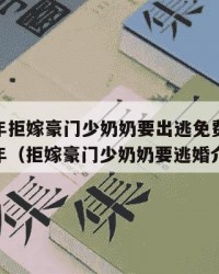 2025年拒嫁豪门少奶奶要出逃免费阅读：2025年（拒嫁豪门少奶奶要逃婚介绍）